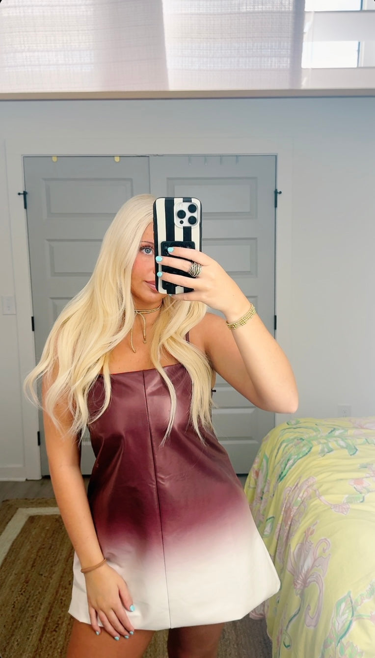 Ava Leather Ombre Dress