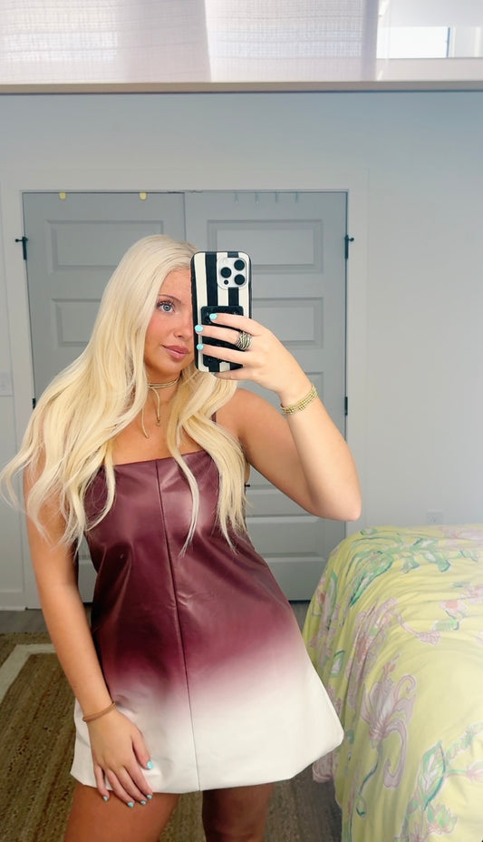 Ava Leather Ombre Dress